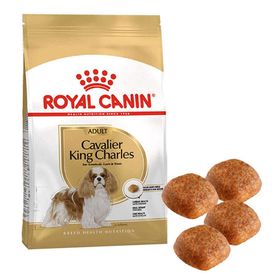 Royal Canın Cavalier King Charles Kuru Köpek Maması