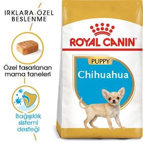 Royal Canin Chihuahua Puppy 1,5 kg Yavru Köpek Maması + Temizlik Mendili