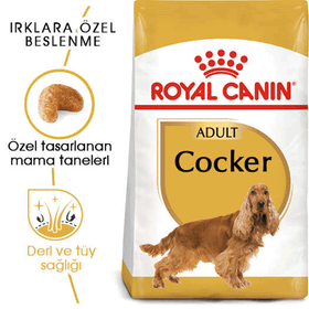 Royal Canin Cocker 3 kg Yetişkin Kuru Köpek Maması