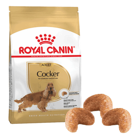 Royal Canin Cocker 3 kg Yetişkin Kuru Köpek Maması