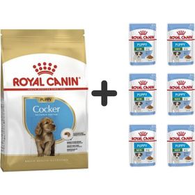Royal Canin Cocker Junior 3 kg Yavru Köpek Maması + 6 Adet Yaş Mama
