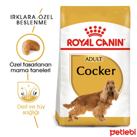 Royal Canin Cocker Özel Irk 3 kg Kümes Hayvanı Aromalı Tahıllı Yetişkin Kuru Köpek Maması