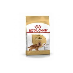 Royal Canin Cocker Spaniel 3 kg Yetişkin Köpek Maması