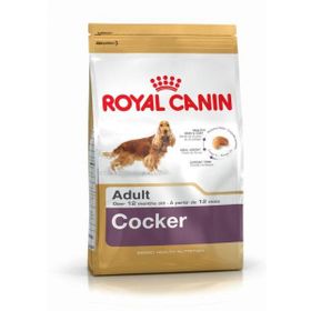 Royal Canin Cocker Spaniel 3 kg Yetişkin Köpek Maması