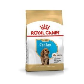 Royal Canin Cocker Spaniel 3 kg Yetişkin Köpek Maması
