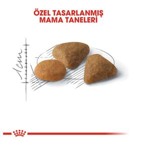 Royal Canin Exigent Savour Sensation 2 kg Kedi Maması