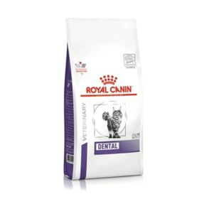 Royal Canin Expert Dental 1.5 kg Kedi Kuru Kedi Maması