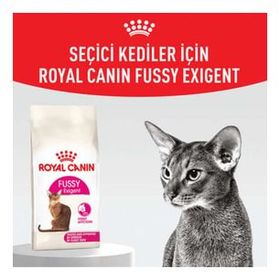 Royal Canin Fussy Exigent Seçici Kedilere Özel 2 kg Kedi Maması