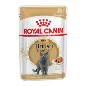 Royal Canin Gravy British Shorthair 85 gr Yetişkin Kedi Konserve