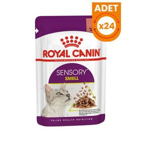 Royal Canin Gravy Sensory Smell 24x85 gr Yetişkin Konserve Kedi Maması