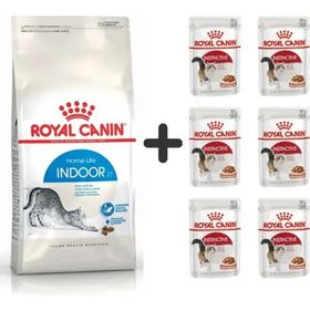 Royal Canin Indoor 27 6x2 kg Kuru Kedi Maması