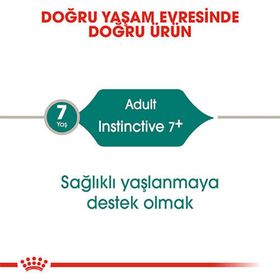 Royal Canin Instictive 85 gr Kedi Konservesi
