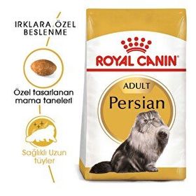 Royal Canin İran Kedisi İçin Kuru 400 gr Kedi Maması