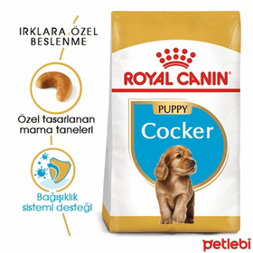 Royal Canin Junior Cocker 3 kg Yavru Köpek Maması
