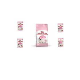 Royal Canin Kitten 4 kg Kuru Kedi Maması+ 4 Adet Kitten Gravy Yaş Mama