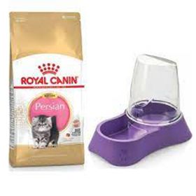 Royal Canin Kitten Persian 2 kg Yavru Kedi Maması + Evohe Mama Kabı