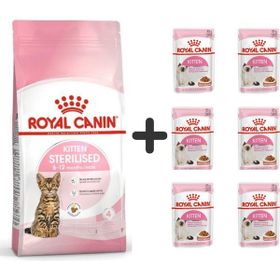Royal Canin Kitten Sterilised 2 kg Kısırlaştırılmış Yavru Kedi Maması + 6 Adet Yaş Mama
