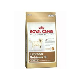 Royal Canin Labrador Retriever 12 kg Yetişkin Köpek Maması