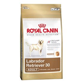 Royal Canin Labrador Retriever 30 12 KG Yetişkin Köpek Maması