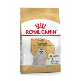 Royal Canin Maltese Bichon Maltais 1.5 kg Yetişkin Köpek Maması