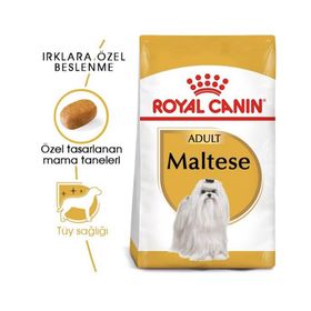 Royal Canin Maltese Bichon Maltais 1.5 kg Yetişkin Köpek Maması