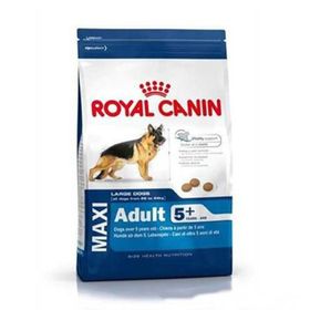 Royal Canin Maxi Mature +5 Büyük Irk 15 kg Yaşlı Köpek Maması