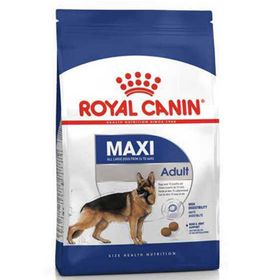 Royal Canin Maxi Mature +5 Büyük Irk 15 kg Yaşlı Köpek Maması