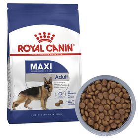 Royal Canin Maxi Mature +5 Büyük Irk 15 kg Yaşlı Köpek Maması