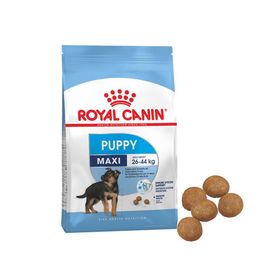 Royal Canin Maxi Puppy 15 kg Orjinal Paketinde Köpek Maması