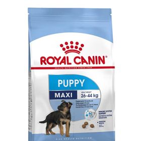 Royal Canin Maxi Puppy Büyük Irk Yavru 15 kg Köpek Maması