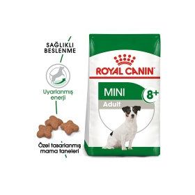 Royal Canin Mini +8 2 kg Yaşlı Köpek Maması