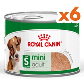 Royal Canin Mini Adult Küçük Irk 6x195 gr Köpek Konservesi
