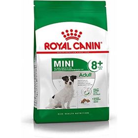 Royal Canin Mini Adult Yetişkin Özel 2 kg Köpek Maması