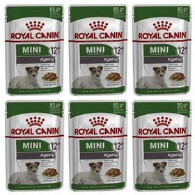 Royal Canin Mini Ageing Yaşlı Yaş 6x85 gr Köpek Maması