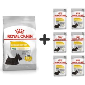 Royal Canin Mini Dermacomfort 3 kg Yetişkin Köpek Maması + 6 Adet Yaş Mama