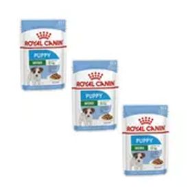 Royal Canin Mini Puppy 3x85 gr Küçük Irk Köpek Konservesi