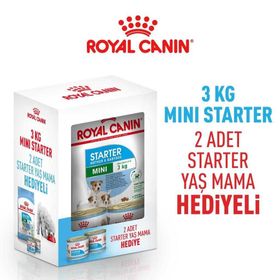 Royal Canin Mini Starter 3 kg Hediyeli Yavru Köpek Maması