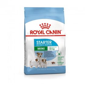 Royal Canin Mini Starter 3 kg Hediyeli Yavru Köpek Maması
