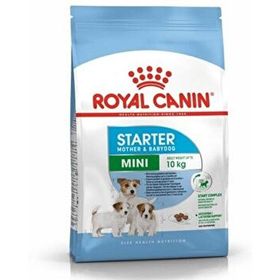 Royal Canin Mini Starter Küçük Irk Anne ve Yavru 2x3 kg Köpek Maması