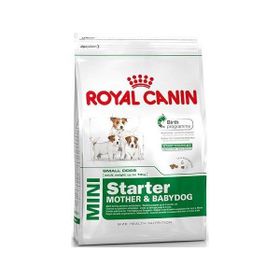 Royal Canin Mini Starter Mini Irk 1 kg Hamile ve Emziren Anne ve Yavru Köpek Maması