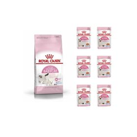 Royal Canin Mother Babycat Anne ve Yavru 4 kg Kedi Maması + 6 Adet Yaş Mama
