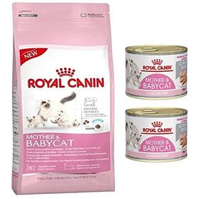 Royal Canin Mother&Baby Yavru Kedi Maması 2 kg + Original 2 Adet 195 gr Yavru Konserve