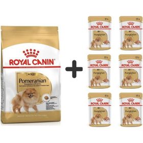 Royal Canin Pomeranian 3 kg Yetişkin Köpek Maması + 6 Adet Yaş Mama