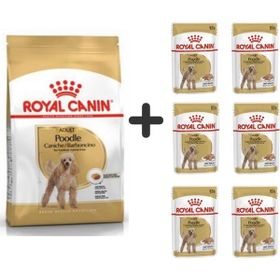 Royal Canin Poodle Adult 3 kg Köpek Maması + 6 Adet Yaş Mama
