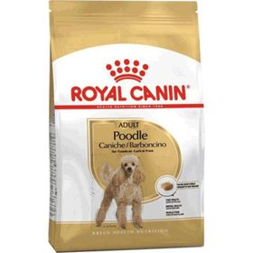 Royal Canin Poodle Adult 3 kg Köpek Maması