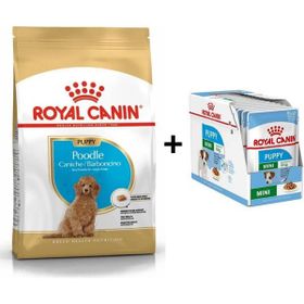 Royal Canin Poodle Puppy 3 kg Köpek Maması + 12 Adet Yaş Mama