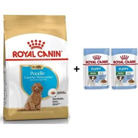 Royal Canin Poodle Puppy 3 kg Köpek Maması + 2 Adet Hediye Yaş Mama
