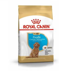 Royal Canin Poodle Puppy Yavru Köpek Maması
