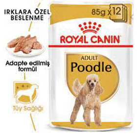 Royal Canin Poodle Yetişkin Pouch Yaş Köpek Mamas 12x85 gr