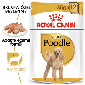 Royal Canin Poodle Yetişkin Pouch Yaş Köpek Maması 85 gr